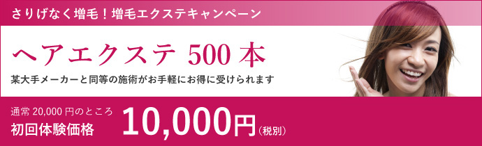 ヘアエクステ 500本 / 10,000円